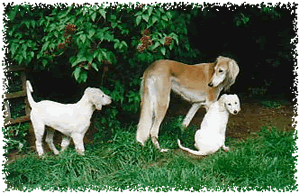 Jehzara with Rafi and Muna